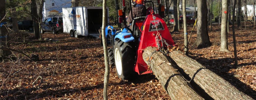 Moving Trees
